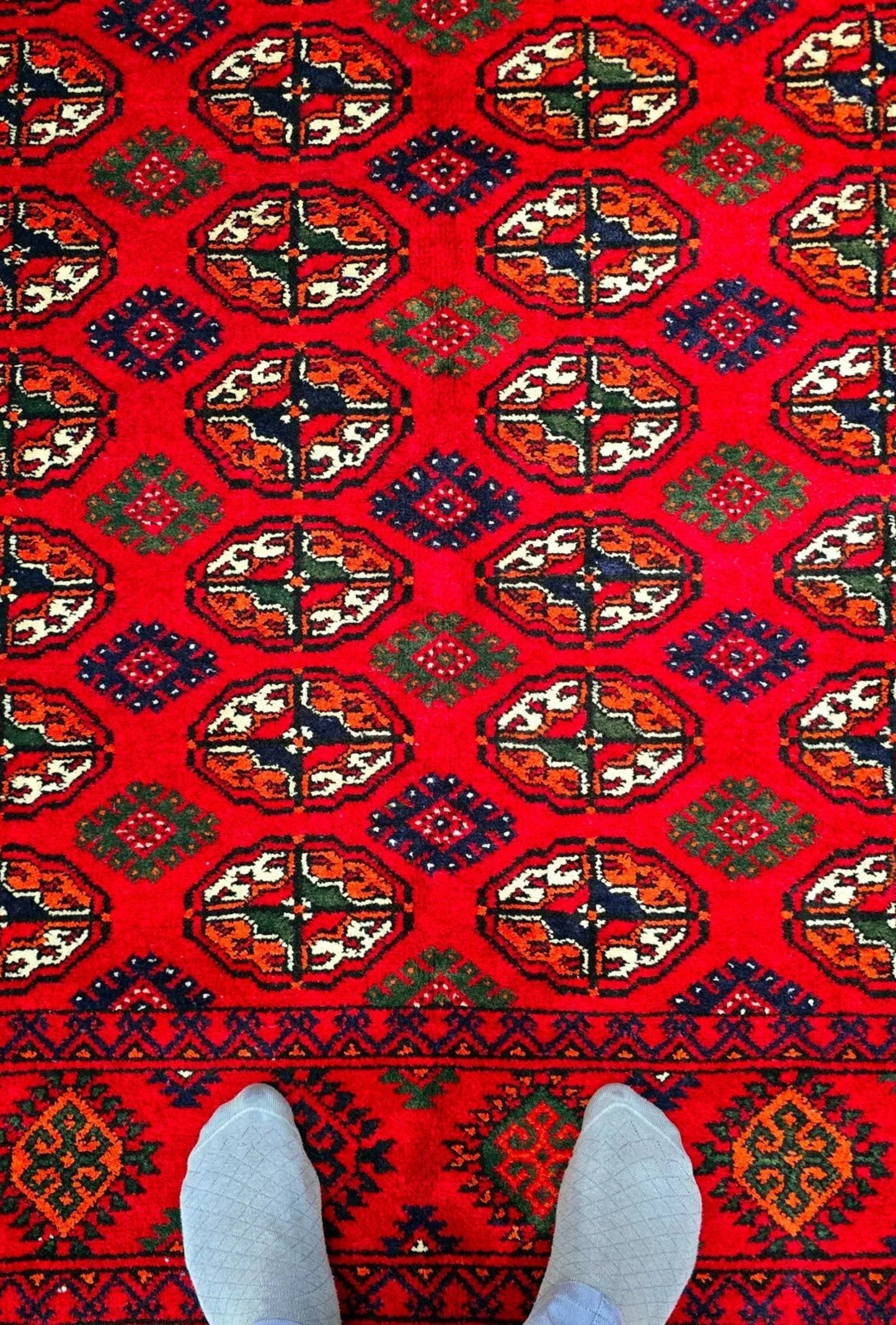 Handknotted Bokhara Rug 200 x 300cm (7'x10' ft) Red